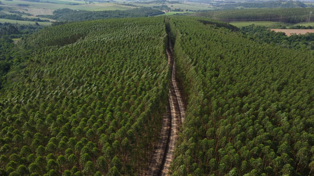 Potencial Florestal é uma das parceiras no evento BioComForest, que acontece no final de julho, em Botucatu (SP)